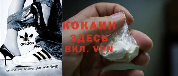 молекула духа Елизово