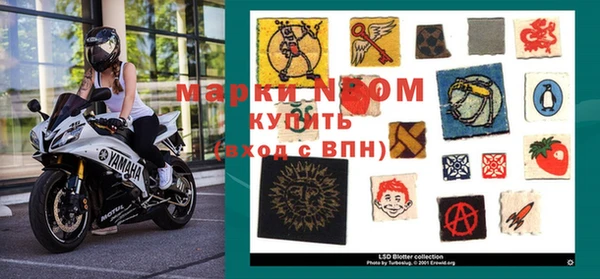 крисы Аркадак