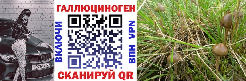 Псилоцибиновые грибы Magic Shrooms Свирск